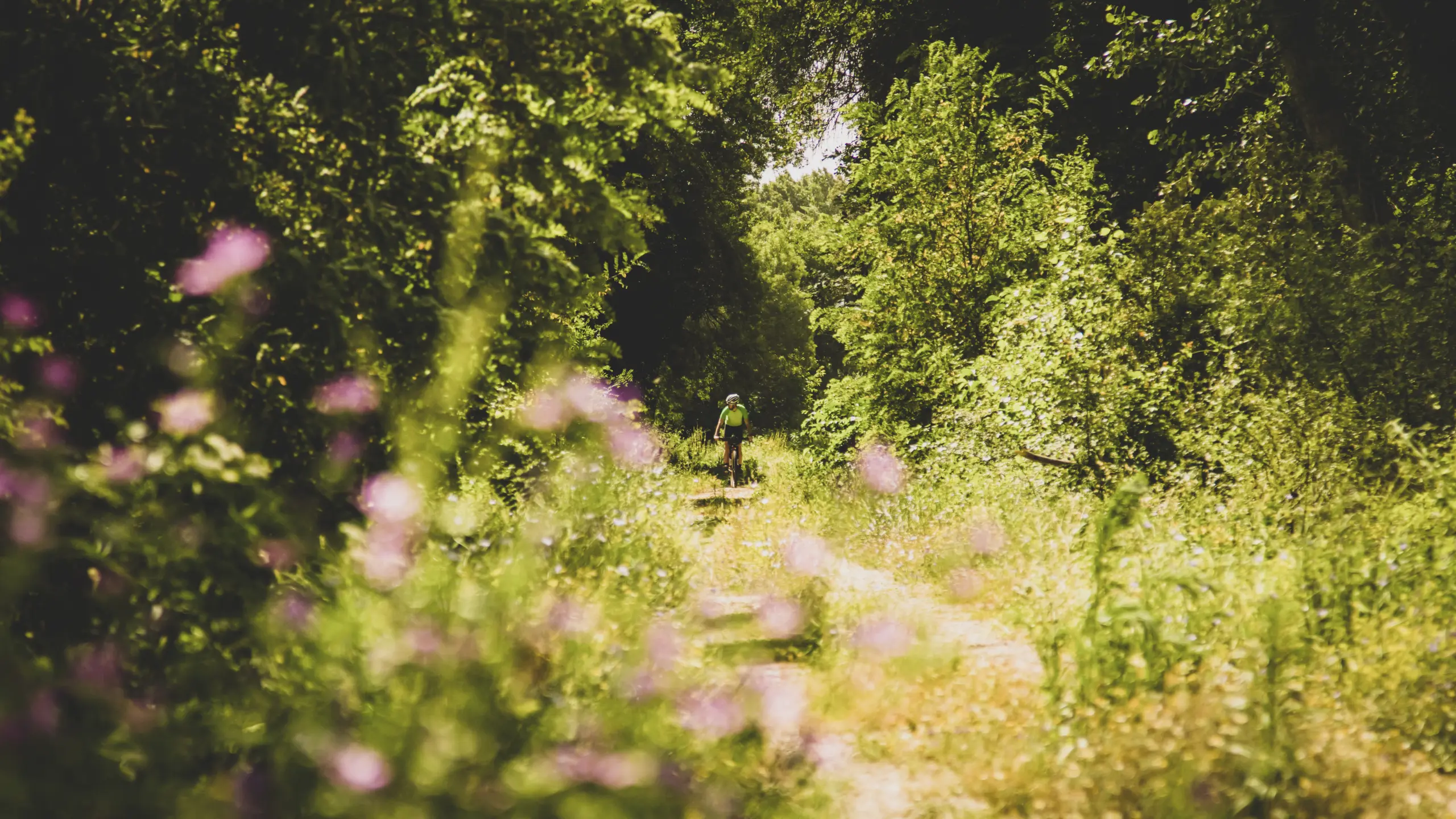 CAMINO_NATURAL2b