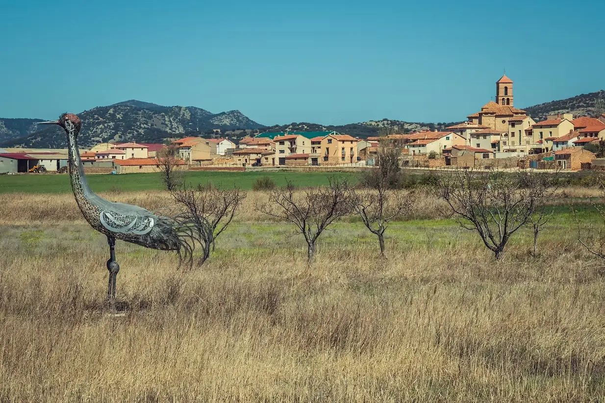 Panorámica Gallocanta