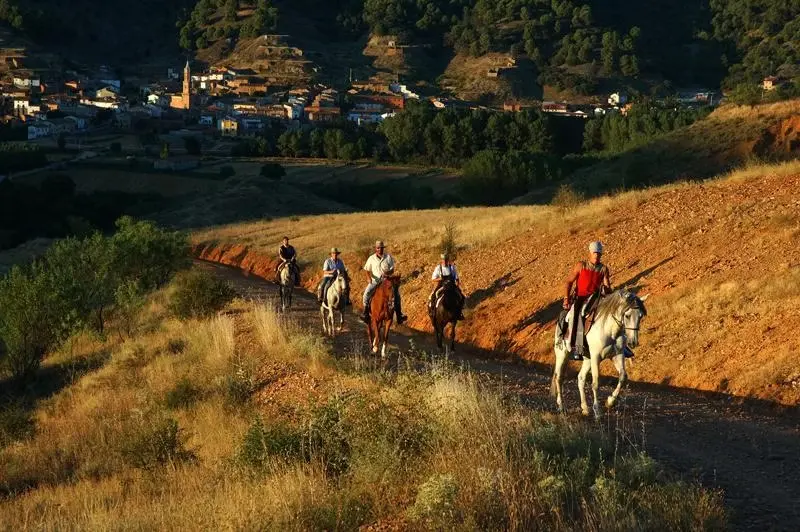 Paseo a caballo Manchones