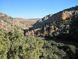 ruta-trail_02-4