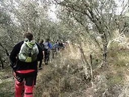 ruta-trail_08-2