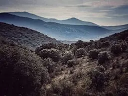 ruta-trail_08-4