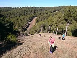 ruta-trail_10-4