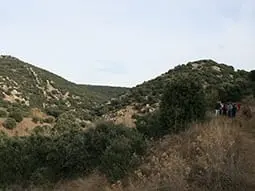 ruta-trail_11-2
