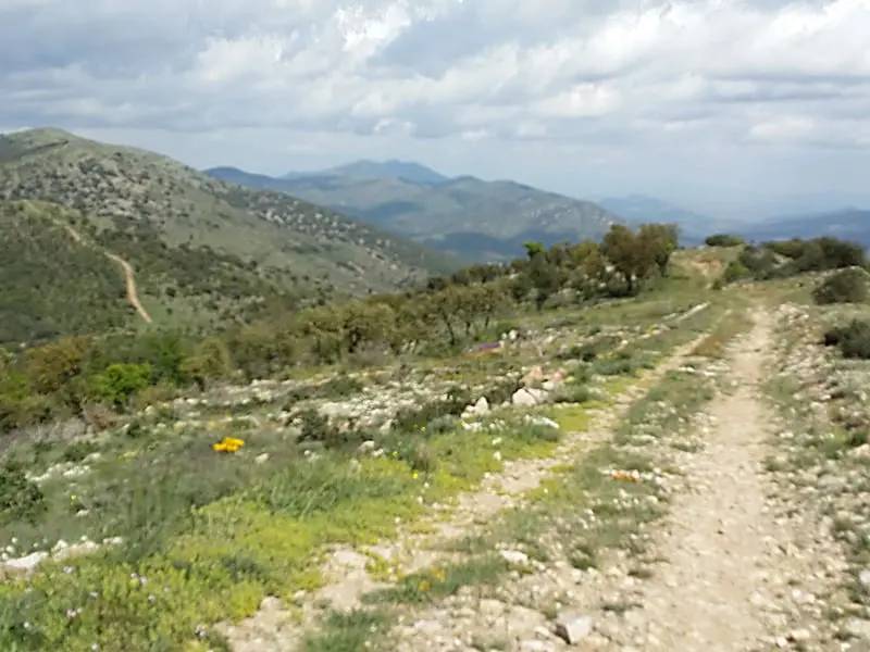 ruta-trail_14-2