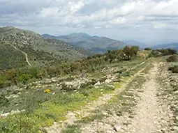 ruta-trail_14-2