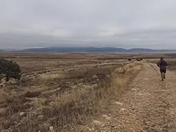 ruta-trail_15-3