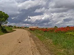 ruta-trail_16-4