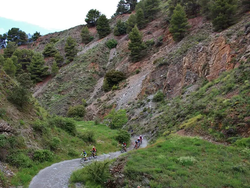 ruta-trail_19-1