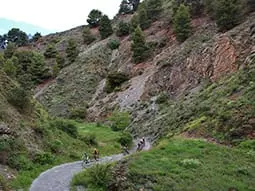 ruta-trail_19-1