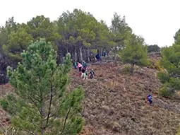 ruta-trail_19-2