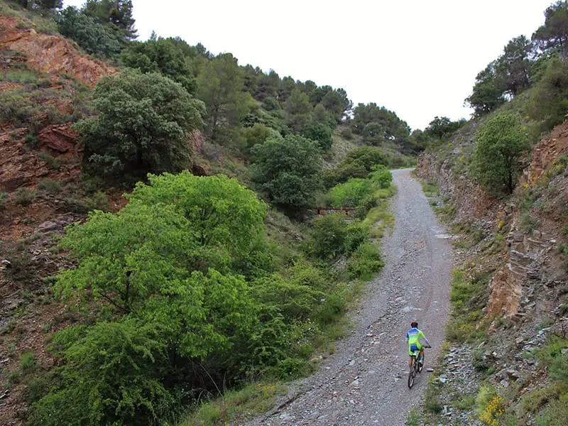 ruta-trail_19-4