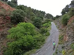 ruta-trail_19-4
