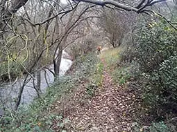 ruta-trail_20-4