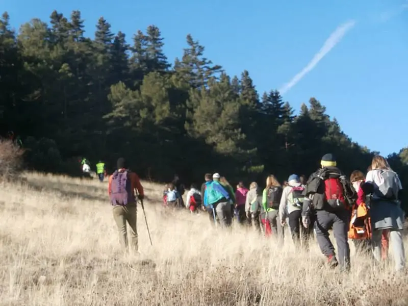 ruta-trail_22-2