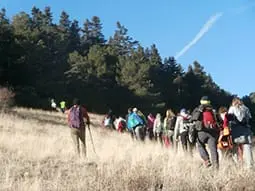 ruta-trail_22-2