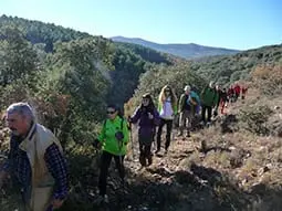 ruta-trail_22-3