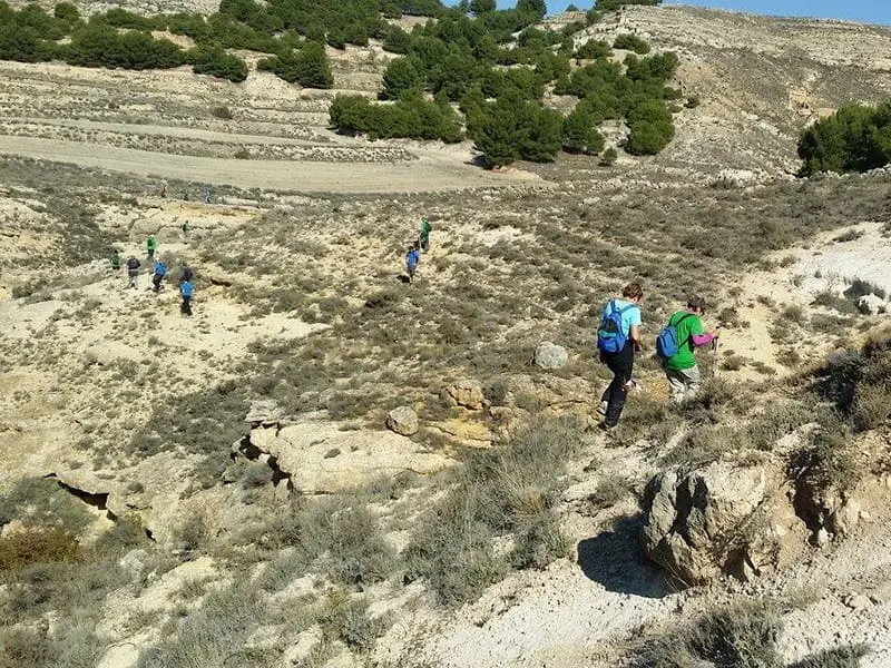 ruta-trail_23-3