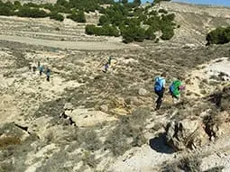 ruta-trail_23-3