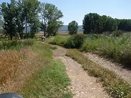 ruta-trail_24-2
