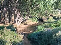 ruta-trail_24-4