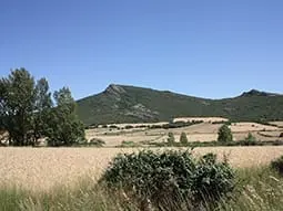 ruta-trail_25-1