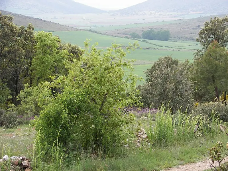 ruta-trail_25-2