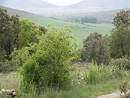 ruta-trail_25-2