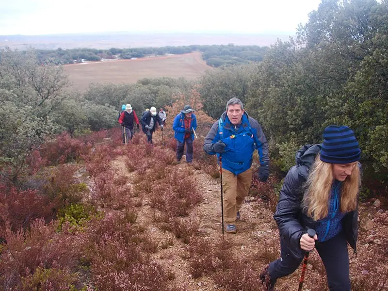 ruta-trail_31-4