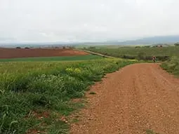 ruta-trail_33-2