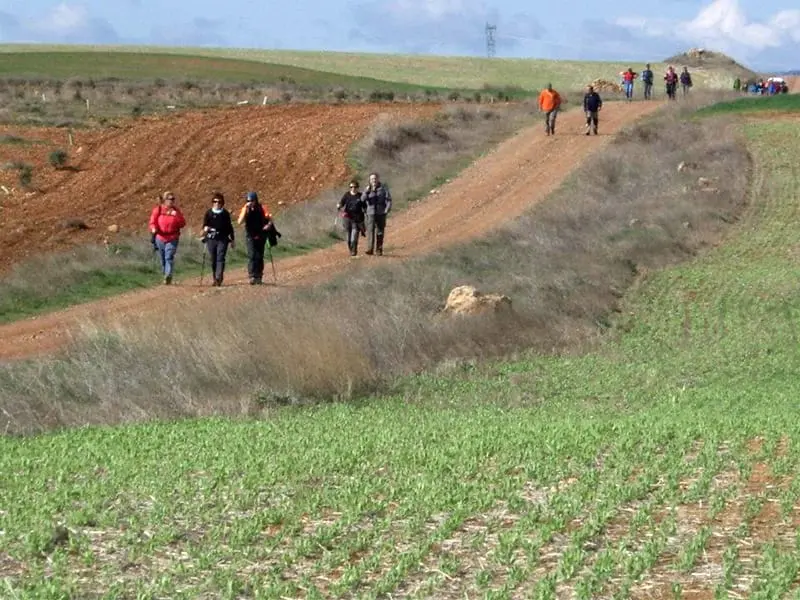 ruta-trail_35-1
