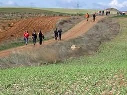 ruta-trail_35-1