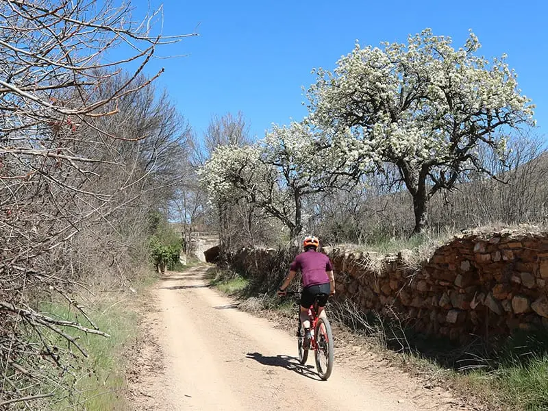 ruta3-3