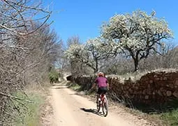 ruta3-3