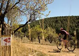 ruta5-3