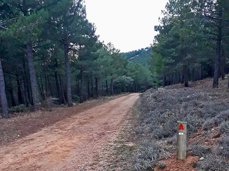 ruta7-3