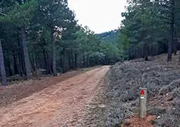 ruta7-3